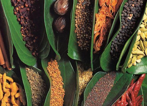 Spice garden